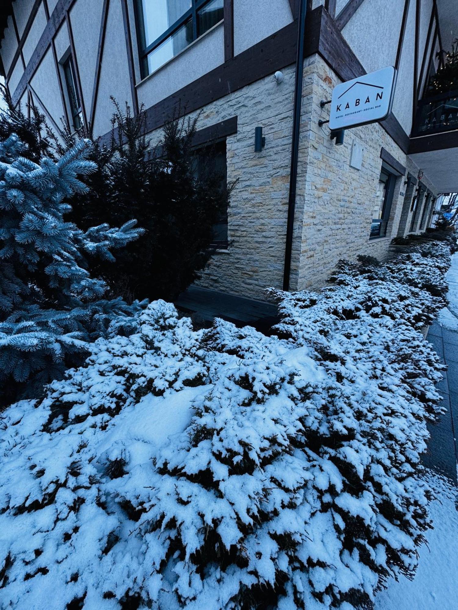 Kaban Boutique - 5Star Central Villa In Vatra Dornei Luaran gambar