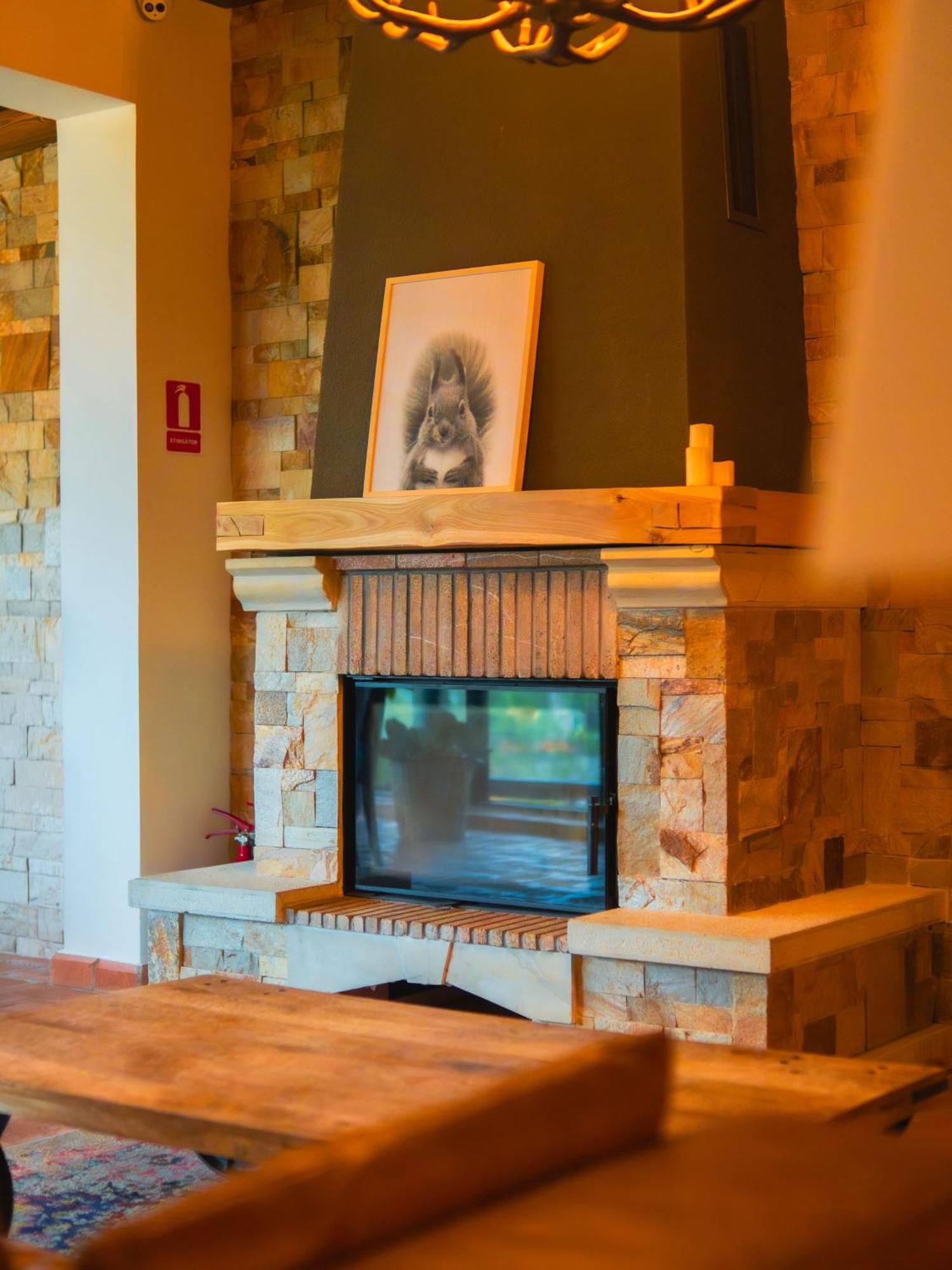 Kaban Boutique - 5Star Central Villa In Vatra Dornei Luaran gambar